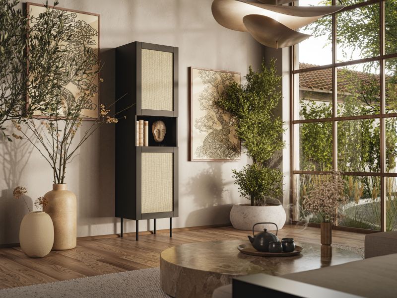 JUTA pastatoma spintelė 2D