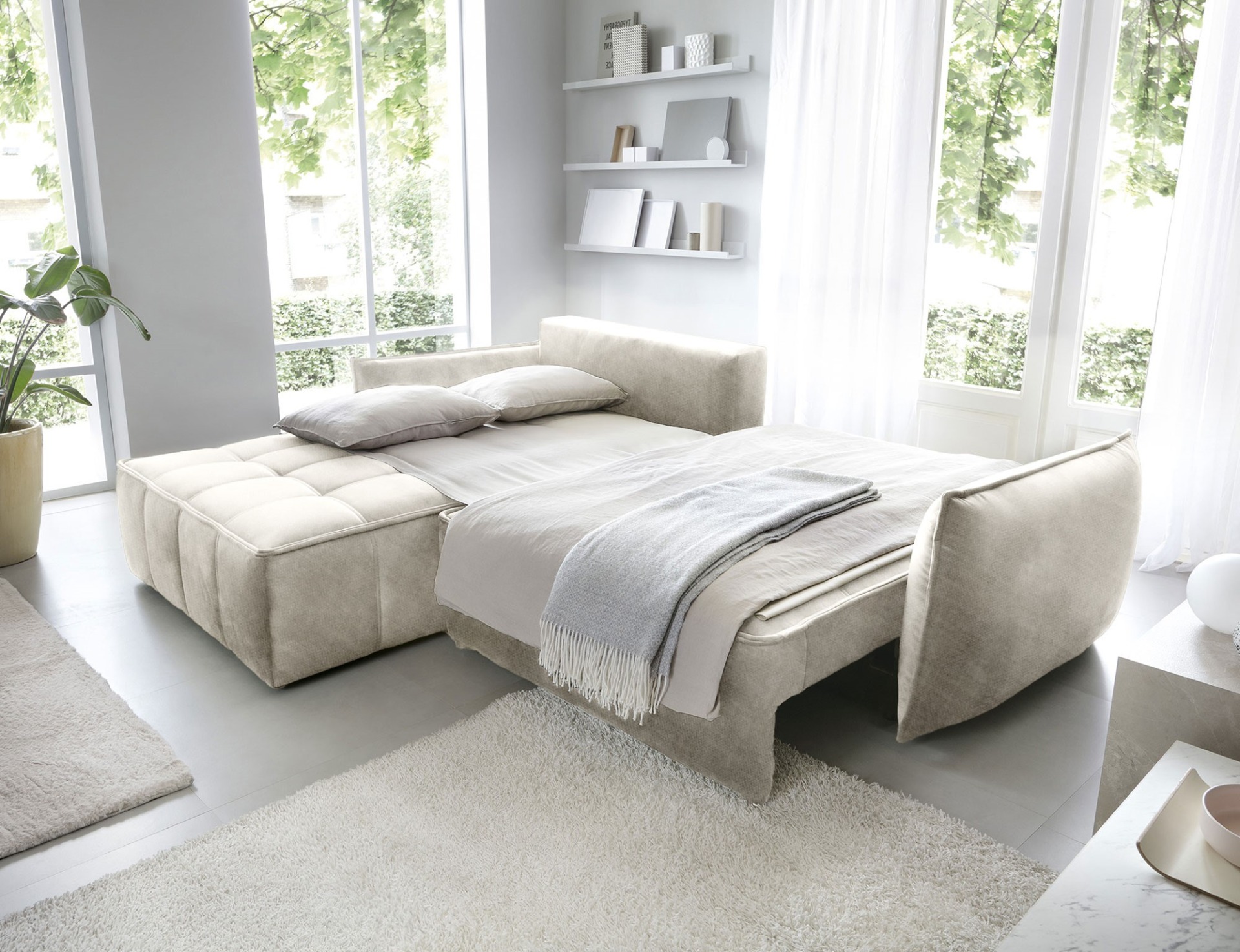 „Campo PRESTIGE“ grupė — изображение 4