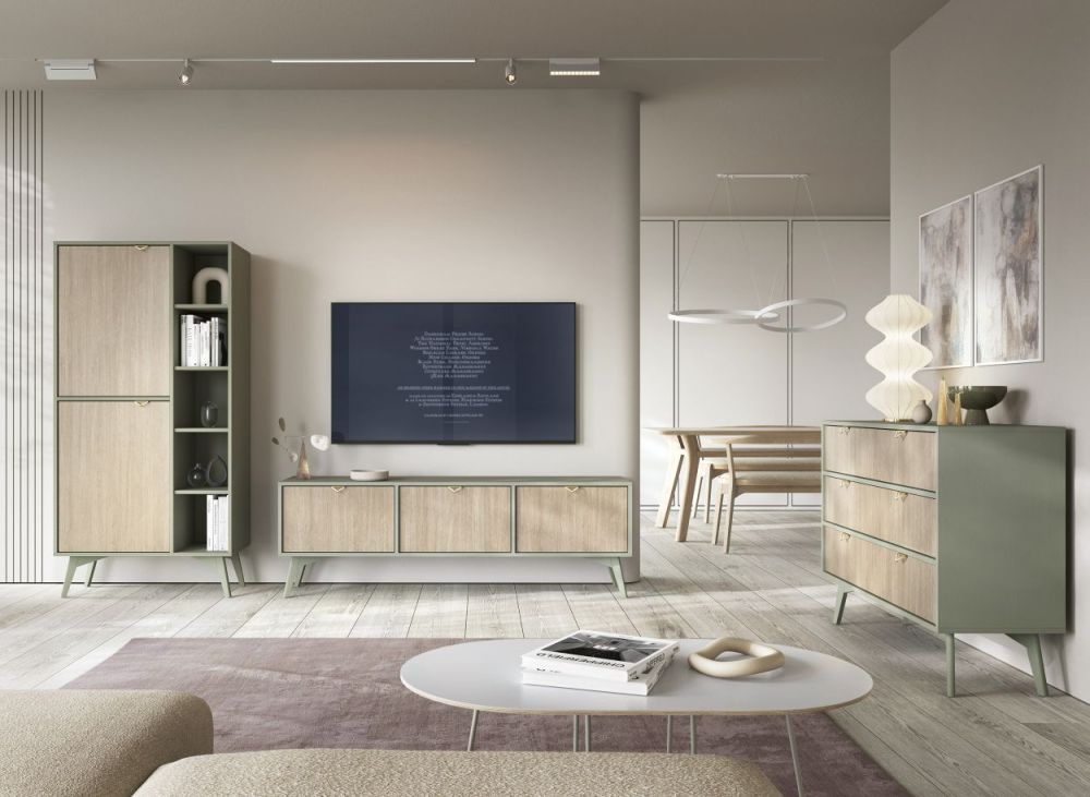 Svetainės fasadai „Eglutės kaulo miško“ raštu