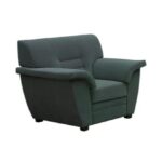 Jordania Gr3 minkštas fotelis