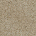 ELEFANT_STRATOS_KNC95517