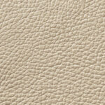 EV-05_Бетулла