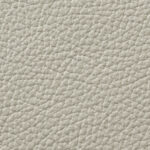 EV-41_Светло-серый