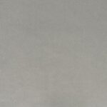 FORREST 22 straipsniai