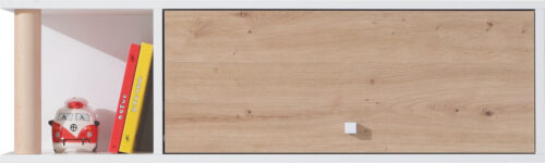 FARO sistema 13 balta prabanga + meniškas ąžuolas + pilka