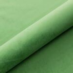 Magiškasis aksomas 2236