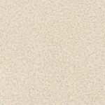 DABAR ARBA NIEKADA 02 kremas