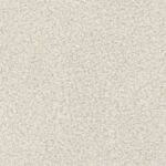 DABAR ARBA NIEKADA 03 zimny beż