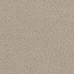 DABAR ARBA NIEKADA 05 žodžiai be