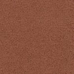 DABAR ARBA NIEKADA 54 ceglasty