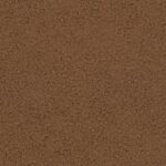 DABAR ARBA NIEKADA 56 brąz