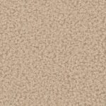 Dabar arba niekada 6