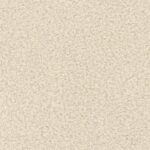 Dabar arba niekada rpes-02