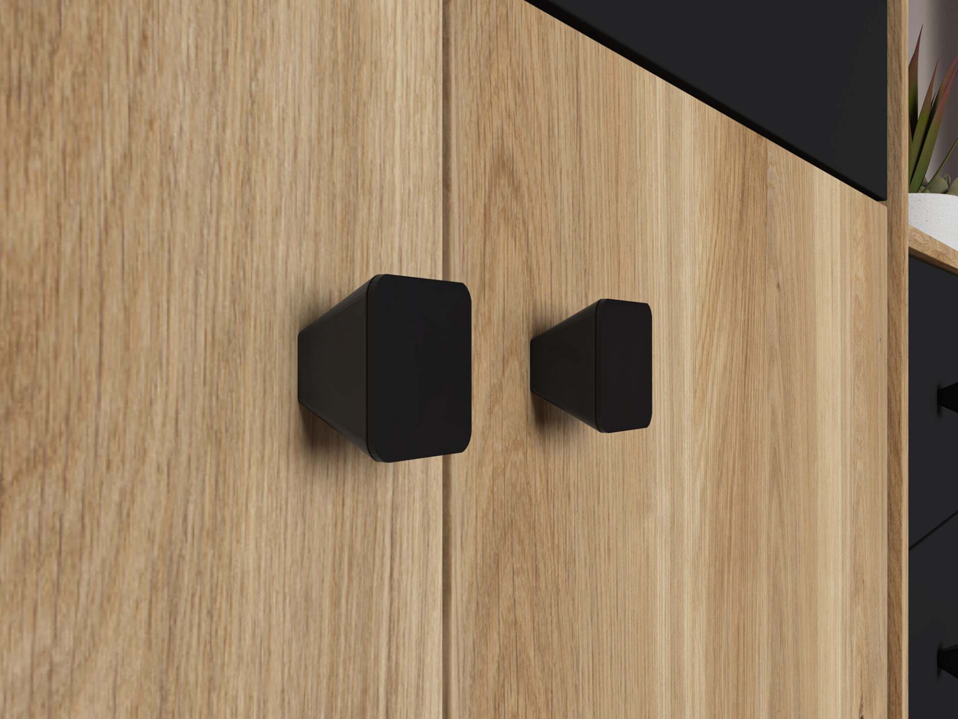 Agis 03 Castello ąžuolas/juoda - Vitrina - Paveikslėlis 6