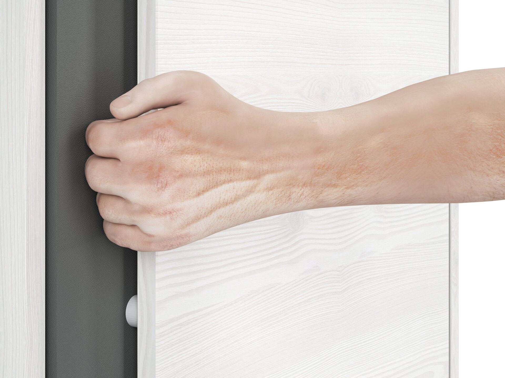 Hyga 06 sniego pušies/antracito spalvos spinta - Paveikslėlis 9