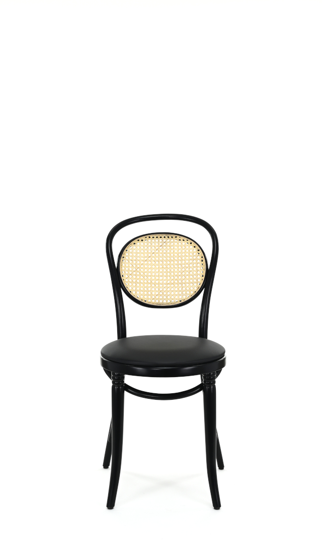 A-10/1 Fameg — изображение 3