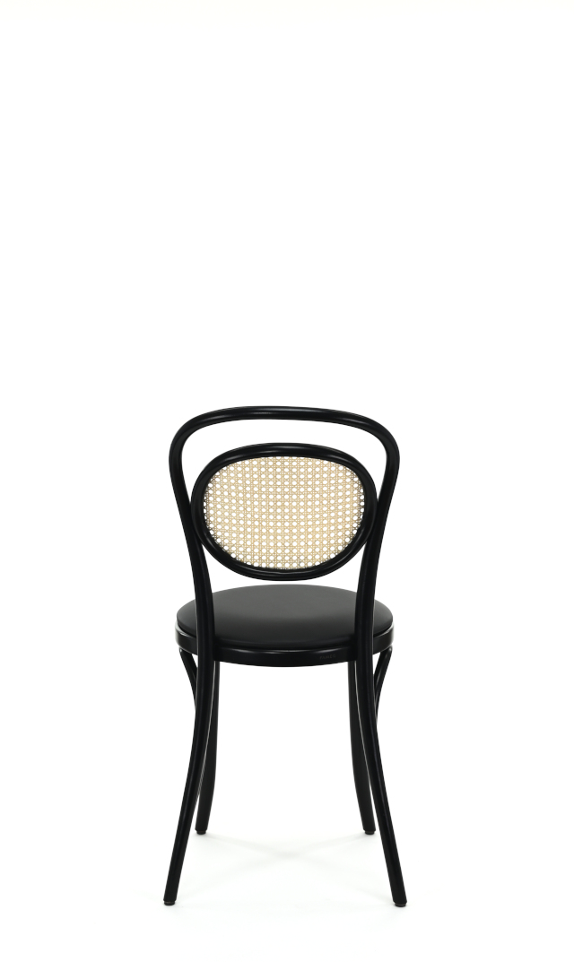 A-10/1 Fameg — изображение 4