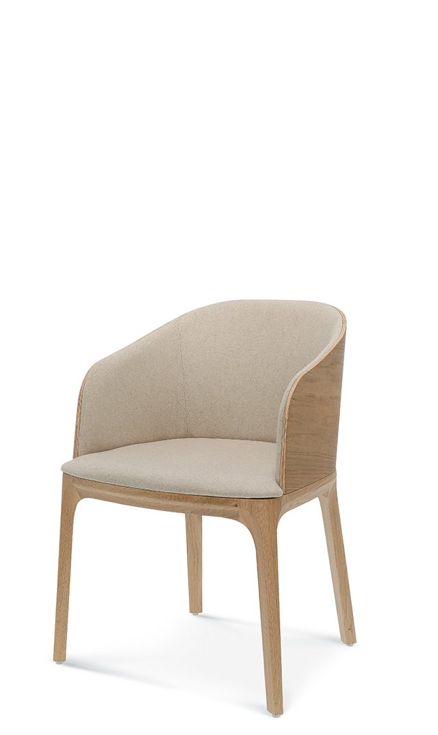 Arch B-1801 Fameg — изображение 4