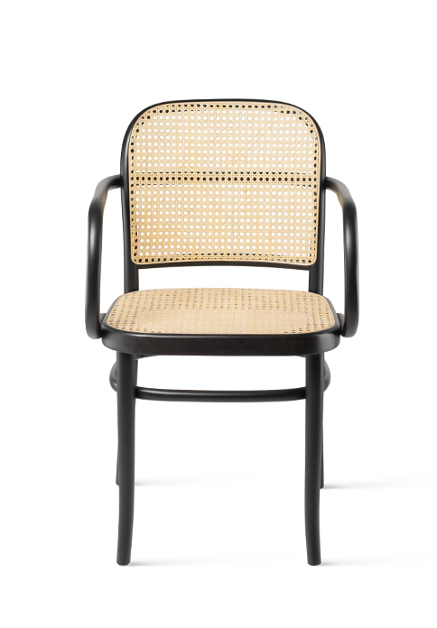 B-811 Fameg — изображение 2