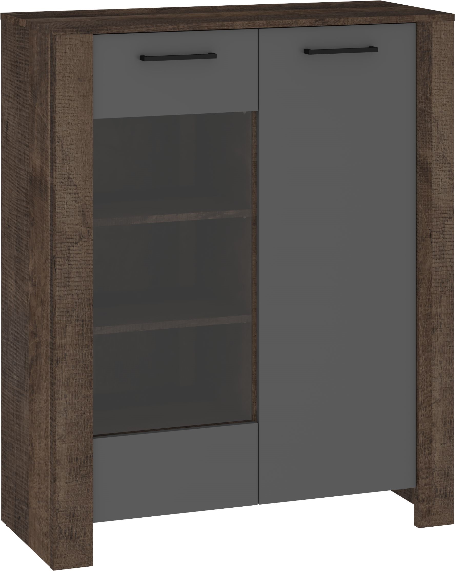 DELIS 14 žema vitrina svetainei, ąžuolo ir grafito spalvos