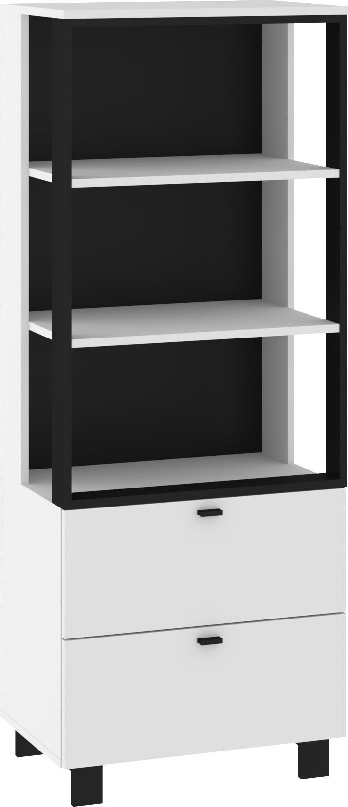 GAVES 08 baldai, lentyna su stalčiais ir lentynomis svetainei, palėpei, balta ir juoda