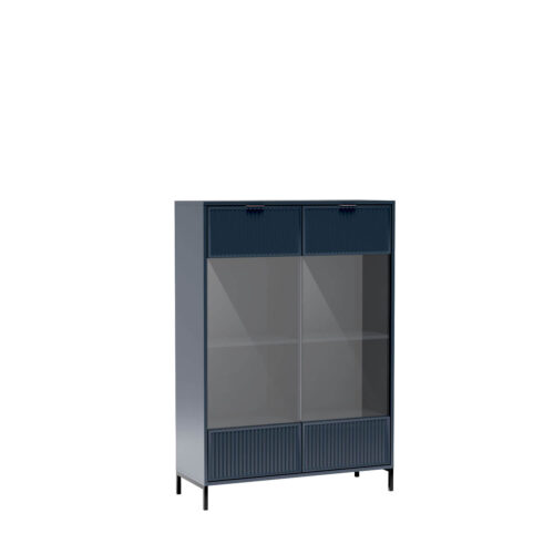 LINKaSTYLES-8 – Indigo spalvos dviejų durų vitrina