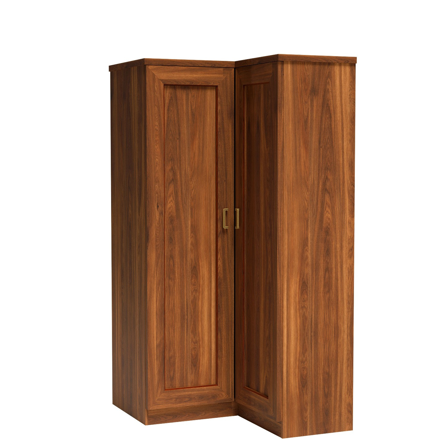 TADEUSZ-25 - Dviejų durų kampinė spinta, šimtametis ąžuolas