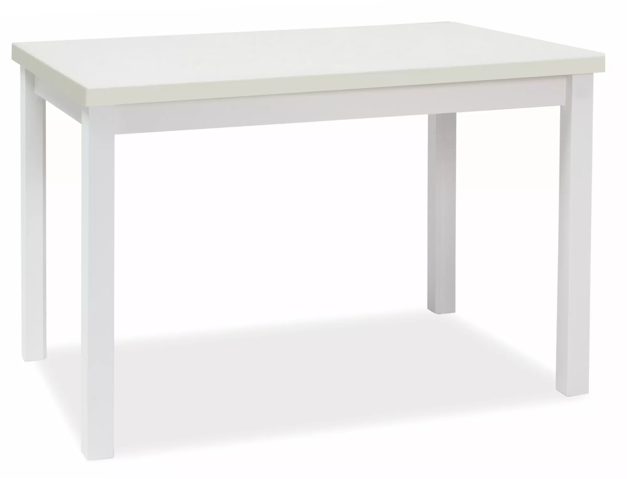 Adam 120 stalas ADAMBM120