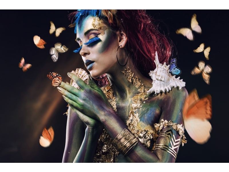 Drugelių piešinys BUTTERFLY120