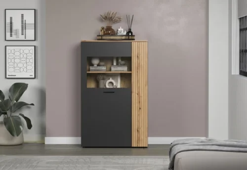 ESTEBAN žema vitrininė spinta 1d1w grafito / ąžuolo evok