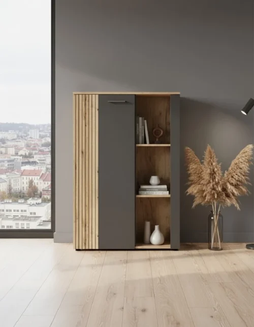ESTEBAN žema vitrininė spinta 2d1w grafito / ąžuolo evok
