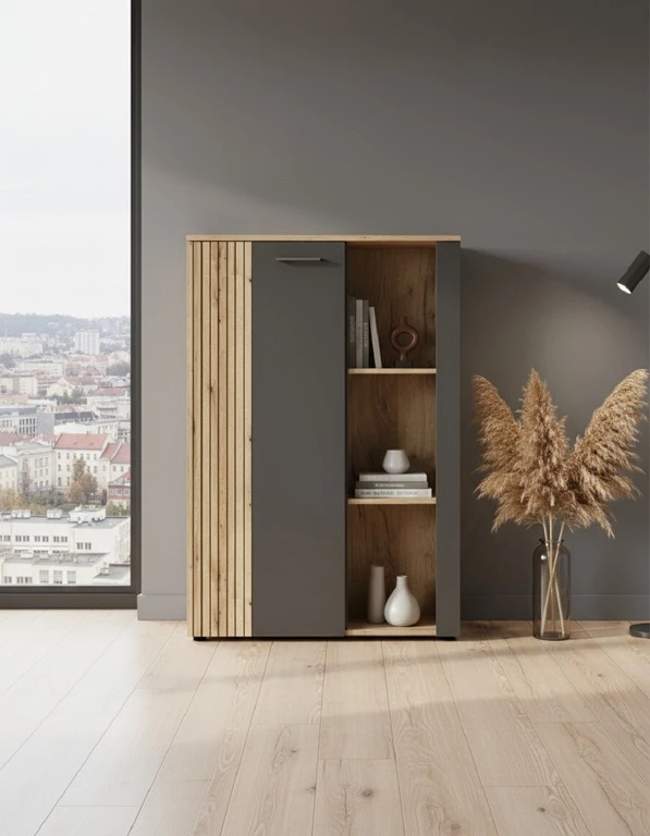 ESTEBAN žema vitrininė spinta 2d1w grafito / ąžuolo evok