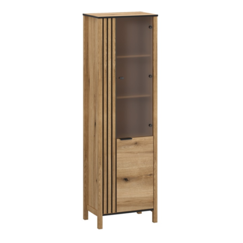 HELIX vitrina, 1 vnt., 1 vnt., ąžuolo spalvos, evok