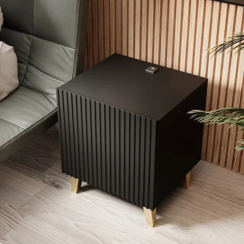 PAFOS JUODOSIOS NAKTINIS SPINTELĖS SU ĮKROVIKLIU