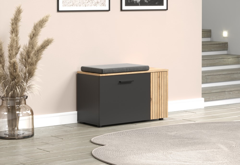 ESTEBAN batų spintelė 2D grafitas / ąžuolas evo