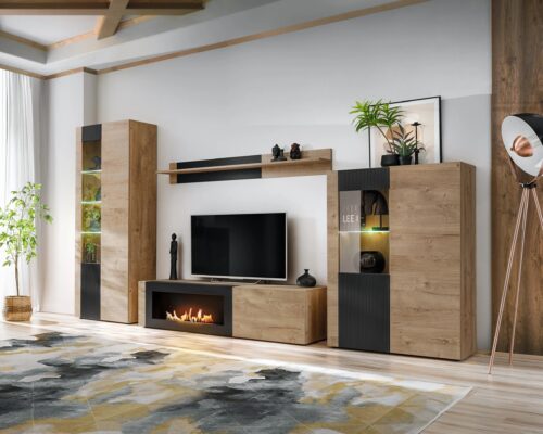 Aron komplektas su ASM biožidiniu