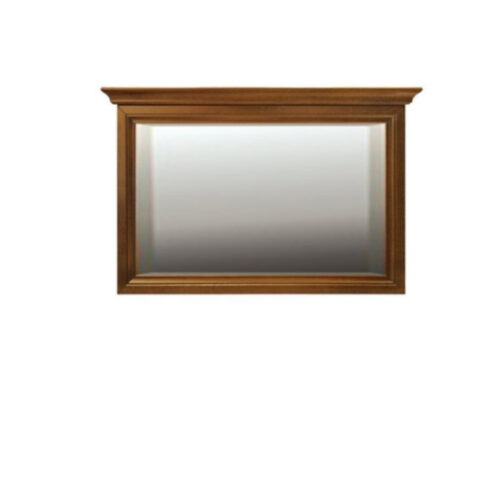 NEPTUN N-L2 veidrodis