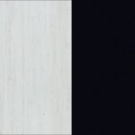 ANDERSONAS ČARNY POLYSKAS