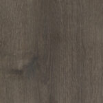 Dąb Carpenter Coffe