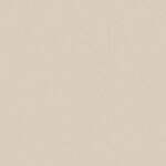 Smėlio spalvos šampanas