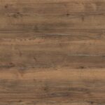 Alavuotas Halifakso ąžuolas